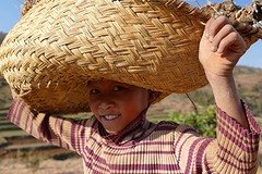 IMG_0501