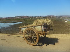 IMG_0505