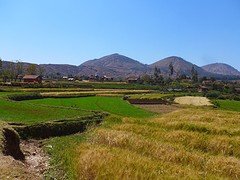IMG_0506