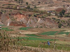 IMG_0509