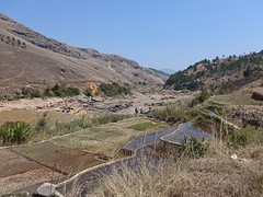 IMG_0511