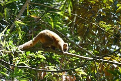 IMG_0522