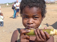 IMG_0549