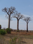 IMG_0551