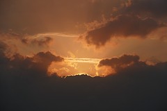 IMG_0557