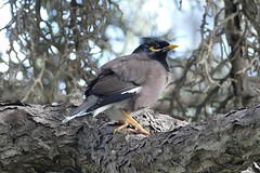 IMG_0570