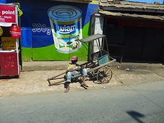 IMG_0586