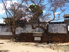 IMG_0588