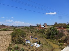 IMG_0591