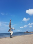 20180728_141423
