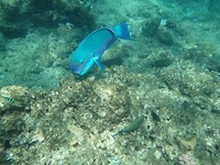 P7030122
