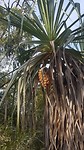20180806_161917