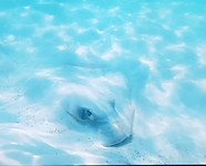 20180811_205833