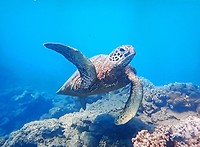 20180811_205514