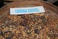 koffie bonen