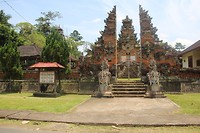IMG_3543