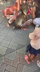 Kinderen