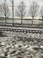 Treinreis
