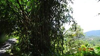 DSC02347