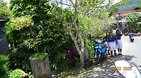 DSC02346