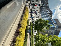 IMG_6260
