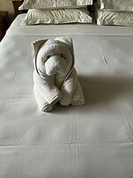 Dit maken ze bij ons op het bed