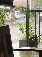 Regen hij roy