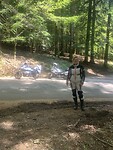 25/8 stopje in het pijnboom bos