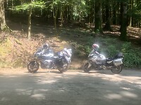 25/8 de BMW’s in t zonnetje