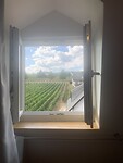 30/8 uitzicht over de wijnvelden