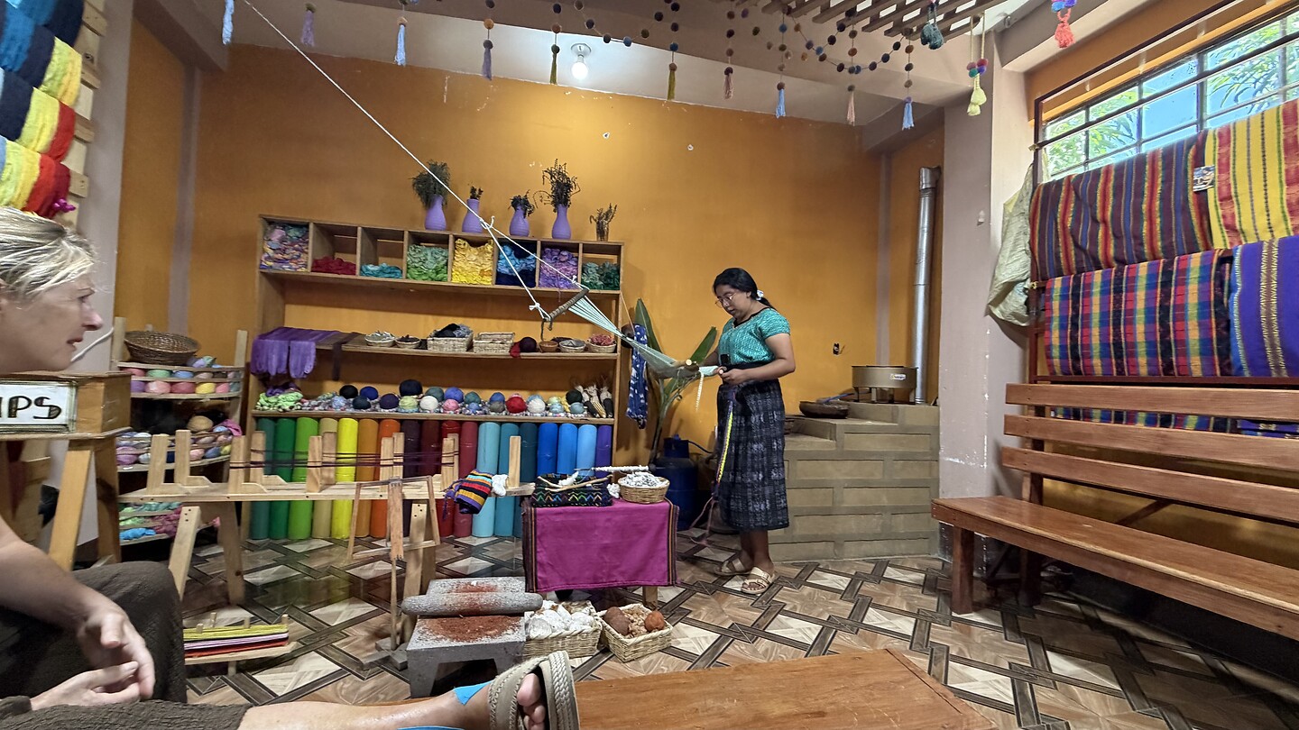 Weef museum