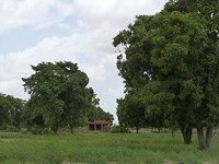 huis van ver