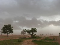 voor de regen