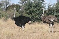 IMG_4363