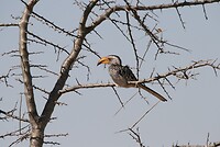 IMG_4369