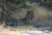 IMG_4405