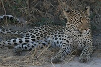 IMG_4410