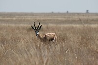 IMG_4389