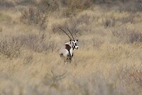 IMG_4397