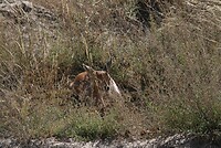 IMG_4399