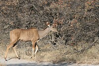 IMG_4415