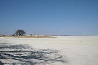 SAM_2369