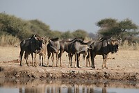 IMG_4470