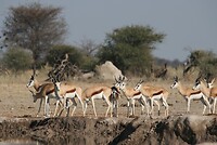 IMG_4485