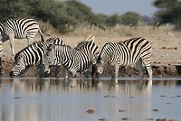 IMG_4493