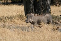 IMG_4797