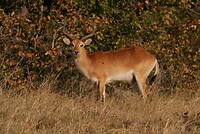 IMG_4817