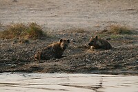 IMG_4819