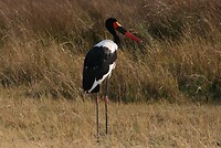 IMG_4839