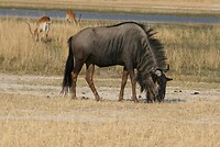 IMG_4840